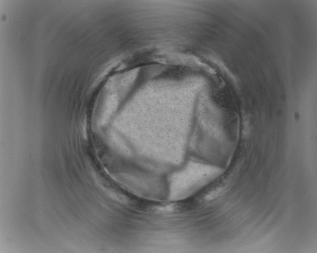 X0000061730068200512231445