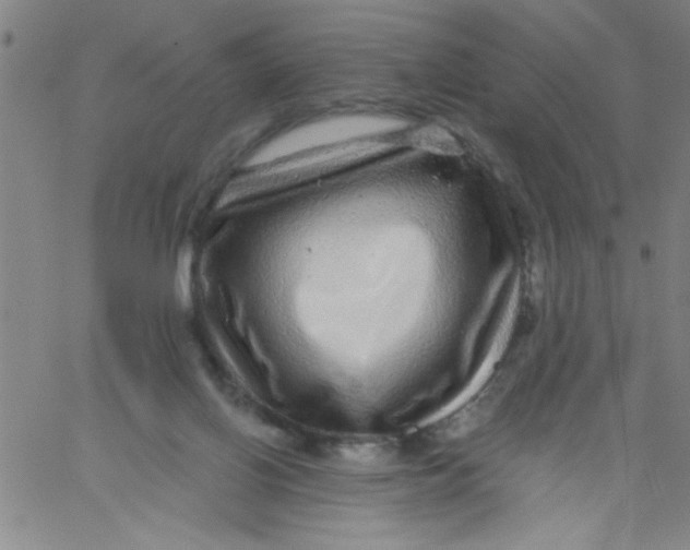 X0000061730070200512231445