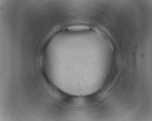 X0000061730071200512231445