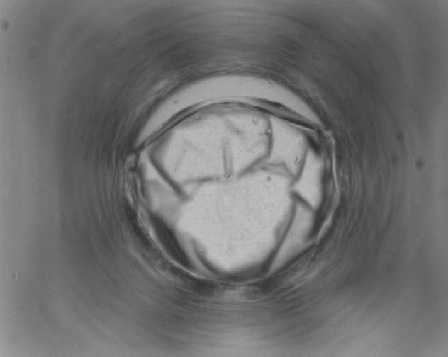 X0000061730072200512231445