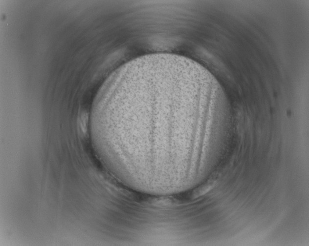 X0000061730075200512231445