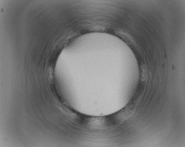 X0000061730077200512231445