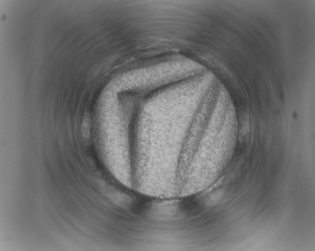 X0000061730078200512231445