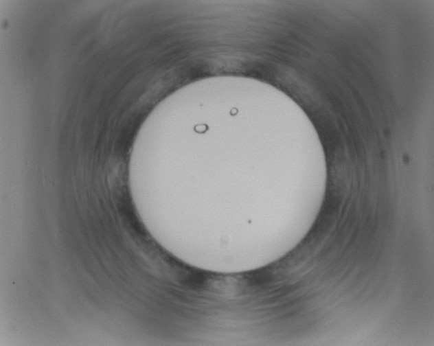 X0000061730079200512231445