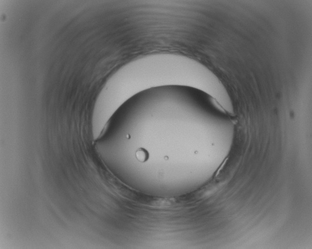 X0000061730080200512231445