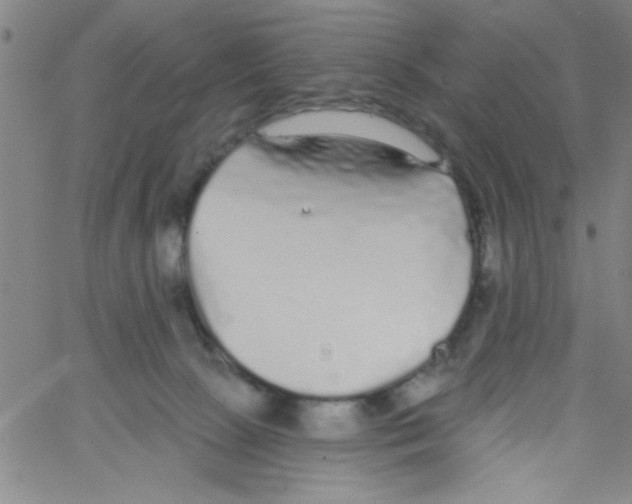 X0000061730081200512231445