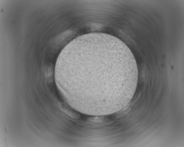 X0000061730082200512231445