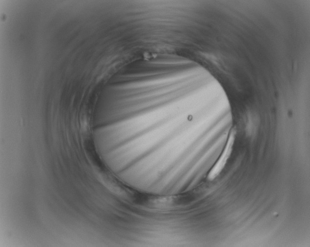 X0000061730084200512231445