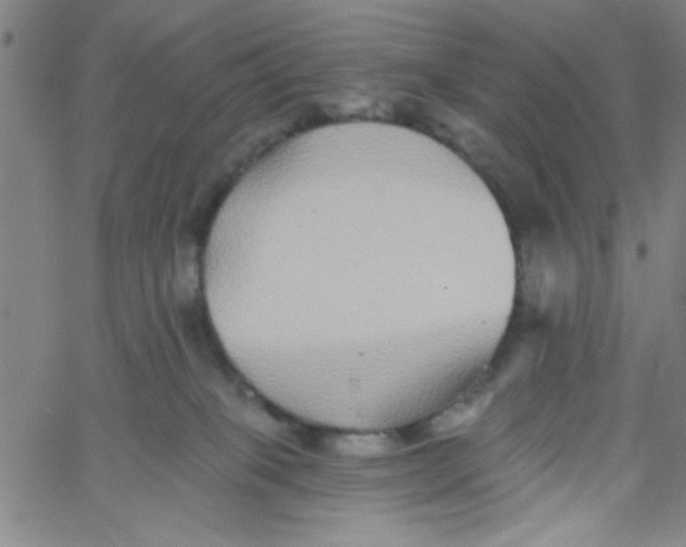 X0000061730085200512231445