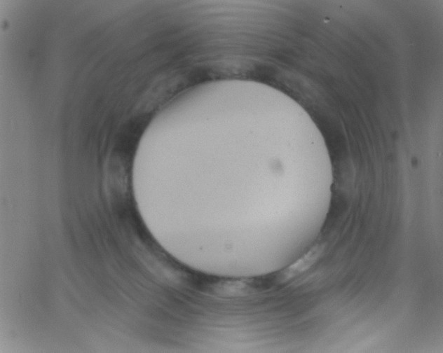 X0000061730086200512231445