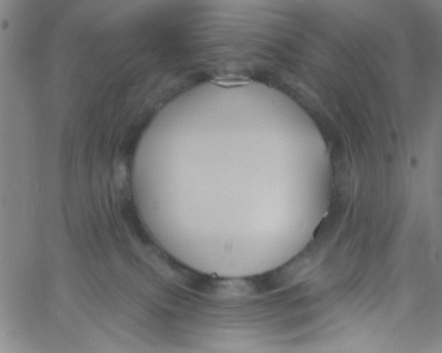 X0000061730087200512231445