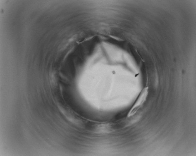 X0000061730088200512231445