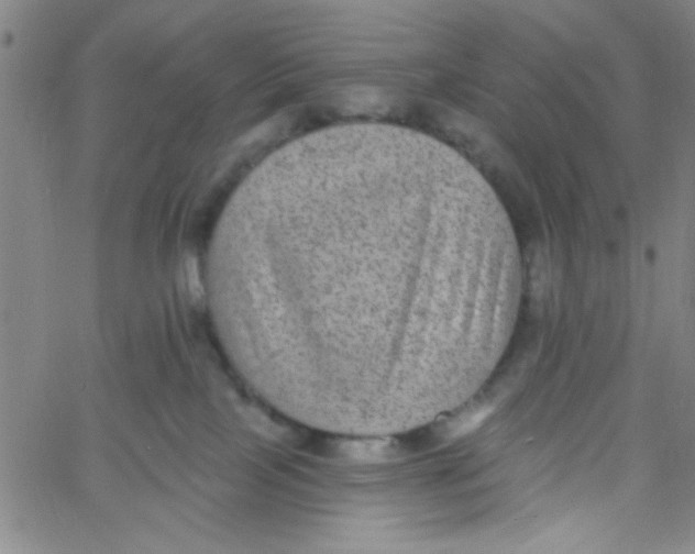 X0000061730089200512231445