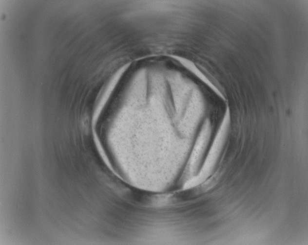 X0000061730090200512231445