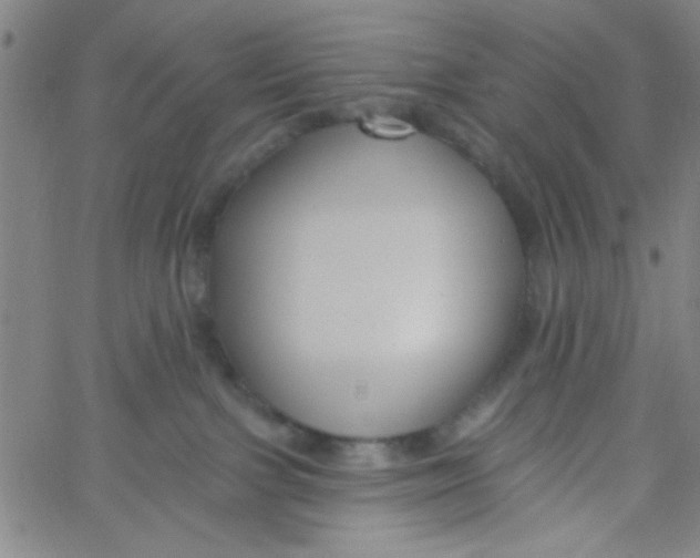 X0000061730091200512231445