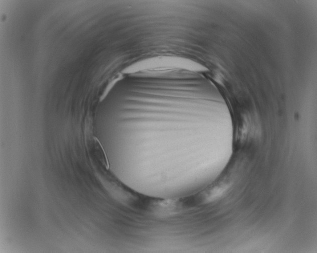 X0000061730092200512231445