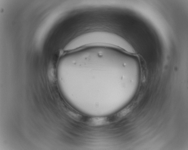 X0000061730093200512231445