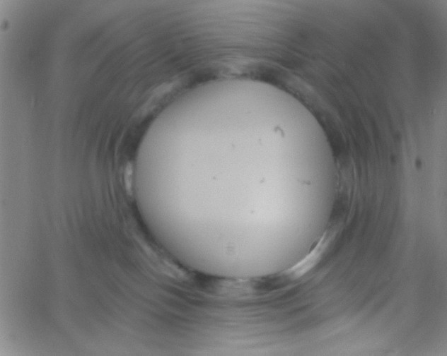 X0000061730094200512231445