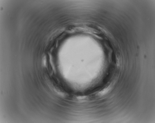 X0000061730095200512231446