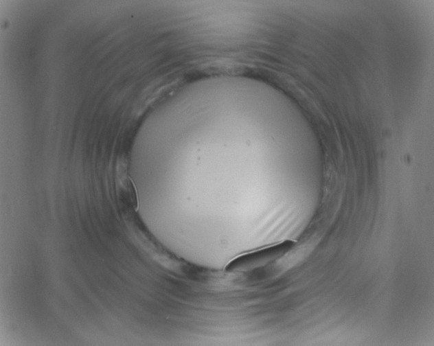 X0000061730096200512231446