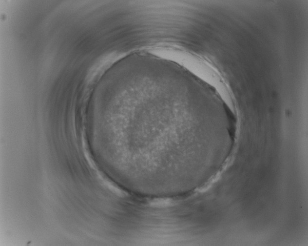 X0000061730097200512231445