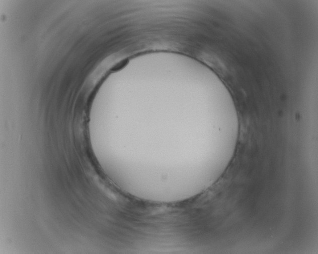 X0000061730098200512231445