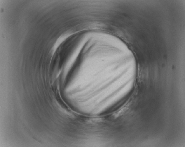 X0000061730099200512231445