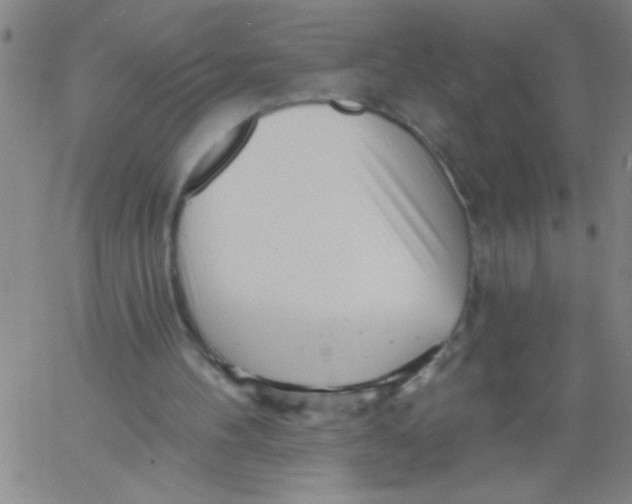 X0000061730100200512231445