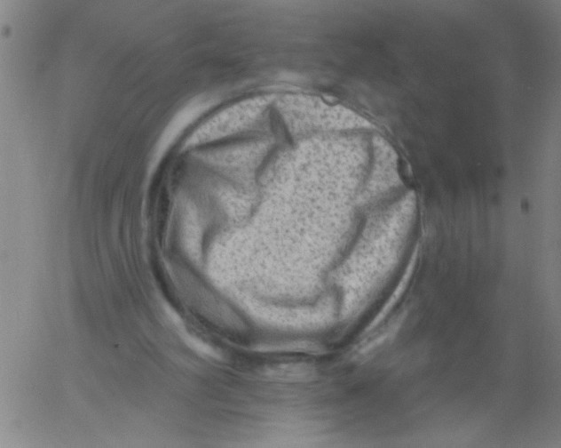 X0000061730102200512231445