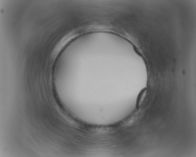 X0000061730103200512231445