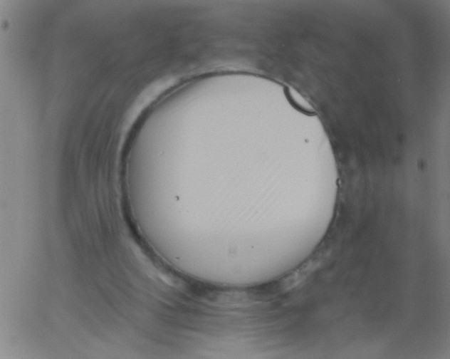 X0000061730104200512231445