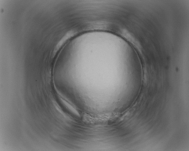 X0000061730107200512231445