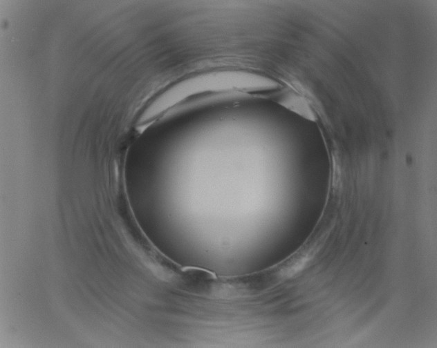 X0000061730109200512231445