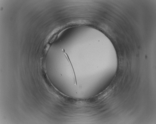 X0000061730111200512231444