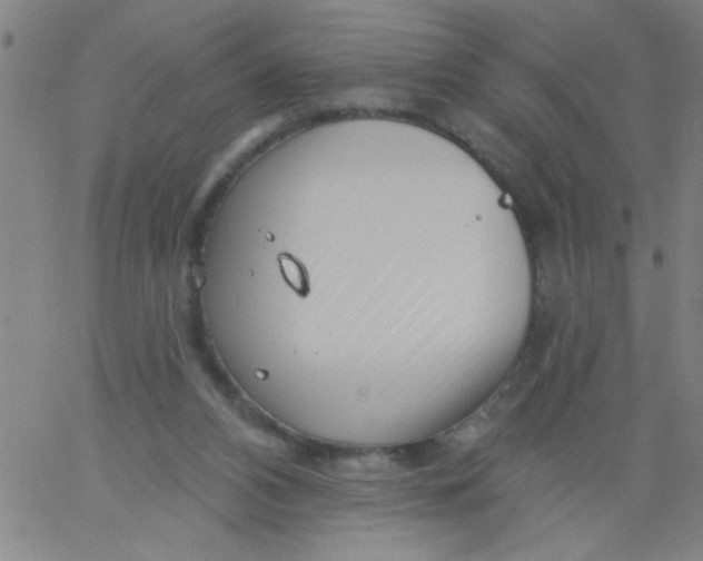 X0000061730112200512231444