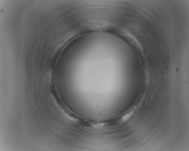 X0000061730113200512231444