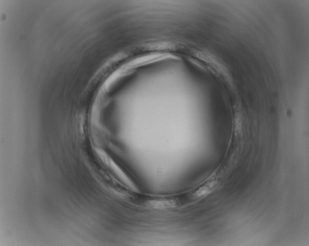 X0000061730115200512231444