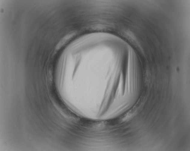 X0000061730116200512231444