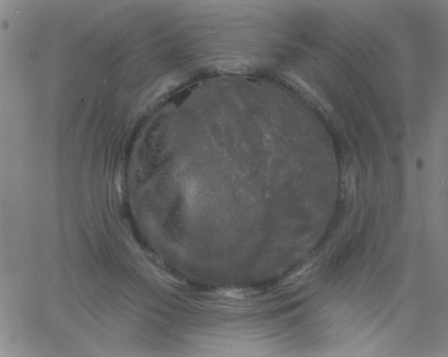 X0000061730117200512231444