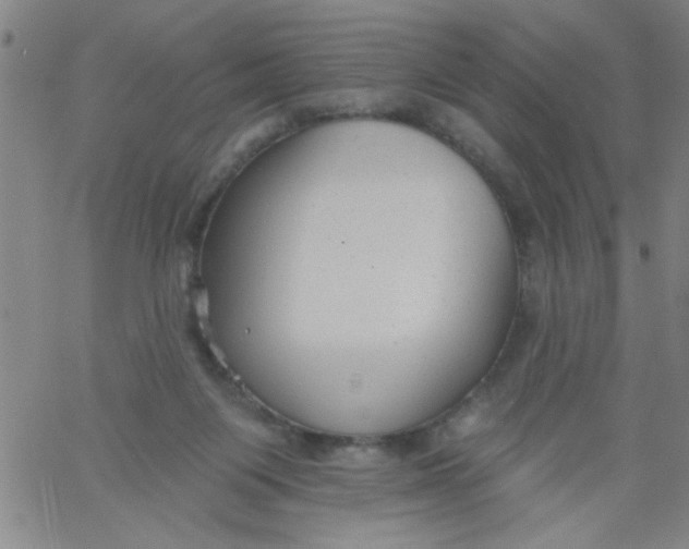 X0000061730119200512231444