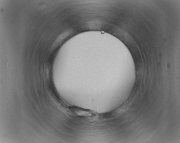 X0000061730120200512231444