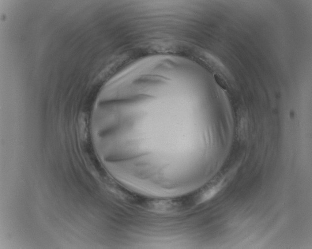 X0000061730121200512231444