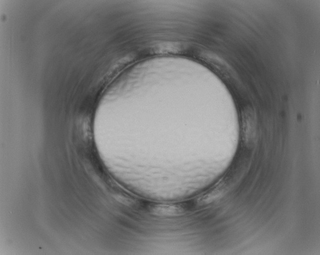 X0000061730123200512231444