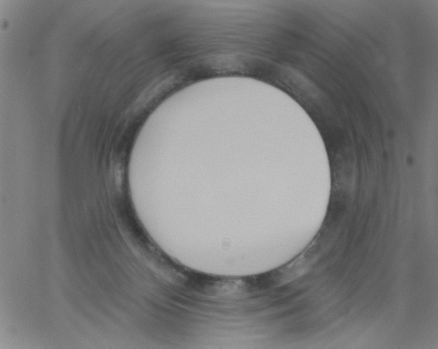 X0000061730124200512231444