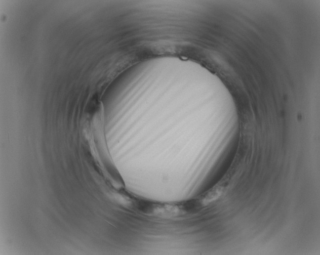 X0000061730125200512231444