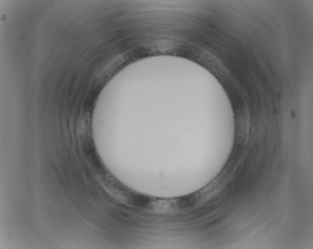 X0000061730126200512231444