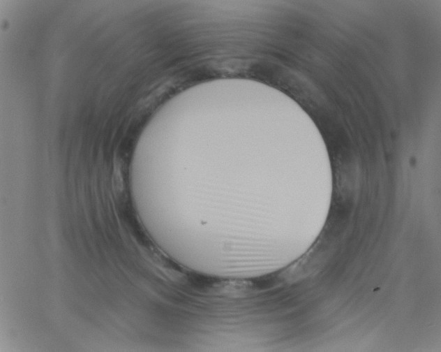 X0000061730128200512231444