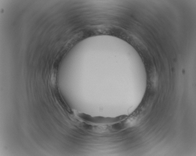 X0000061730129200512231444