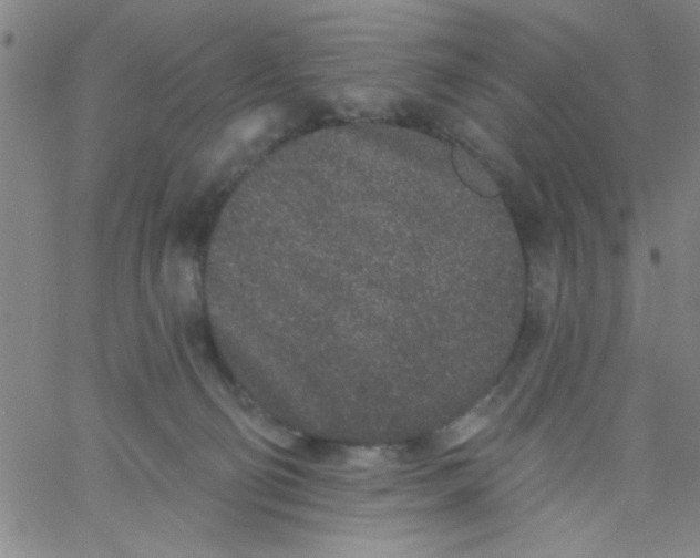 X0000061730130200512231444