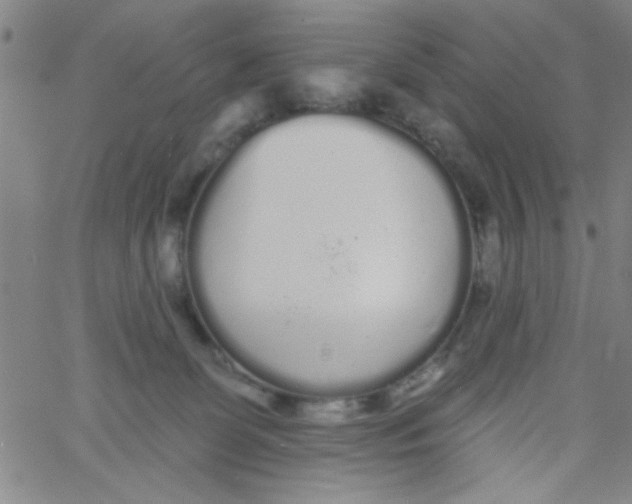 X0000061730131200512231444